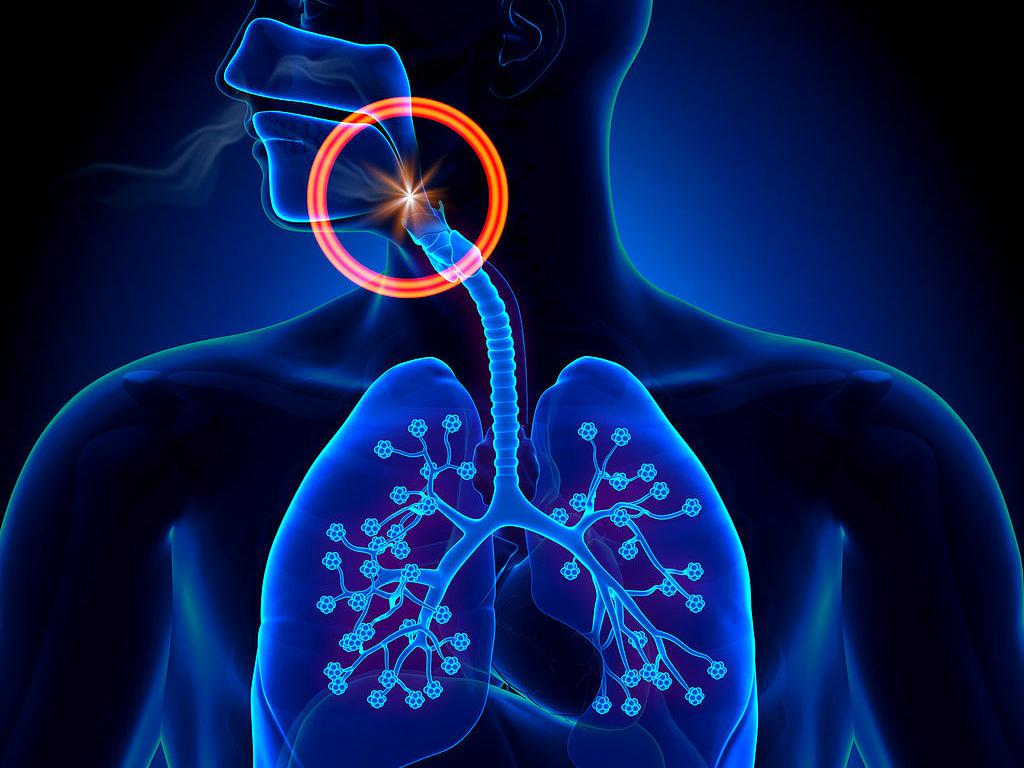 支氣管鏡檢查的那些事兒 支氣管鏡檢查的那些事兒