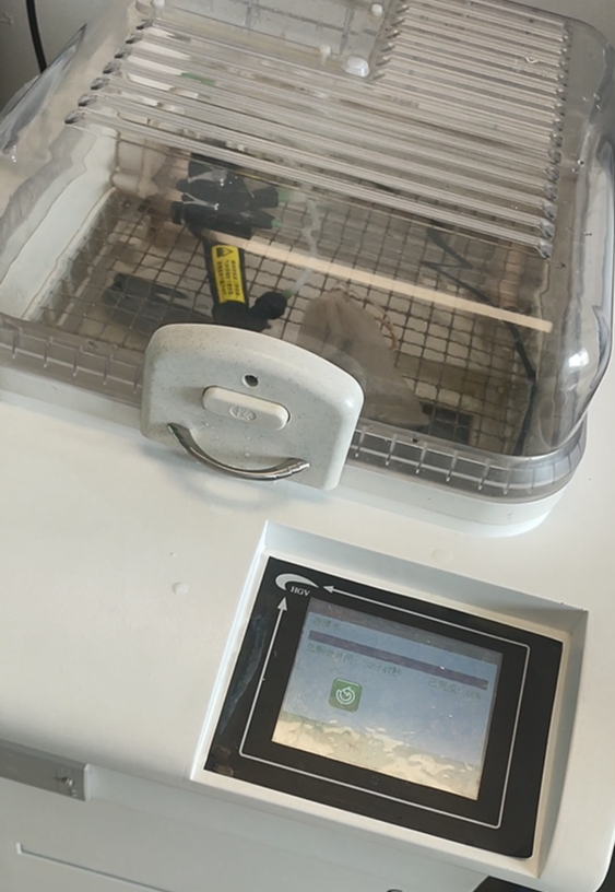 鼴鼠醫療和您聊聊:可視喉鏡與電子支氣管鏡維護保養 鼴鼠醫療和您聊聊:可視喉鏡與電子支氣管鏡維護保養