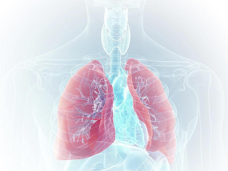 從傳統到現代:可視喉鏡在呼吸道疾病診斷中的重要作用 從傳統到現代:可視喉鏡在呼吸道疾病診斷中的重要作用