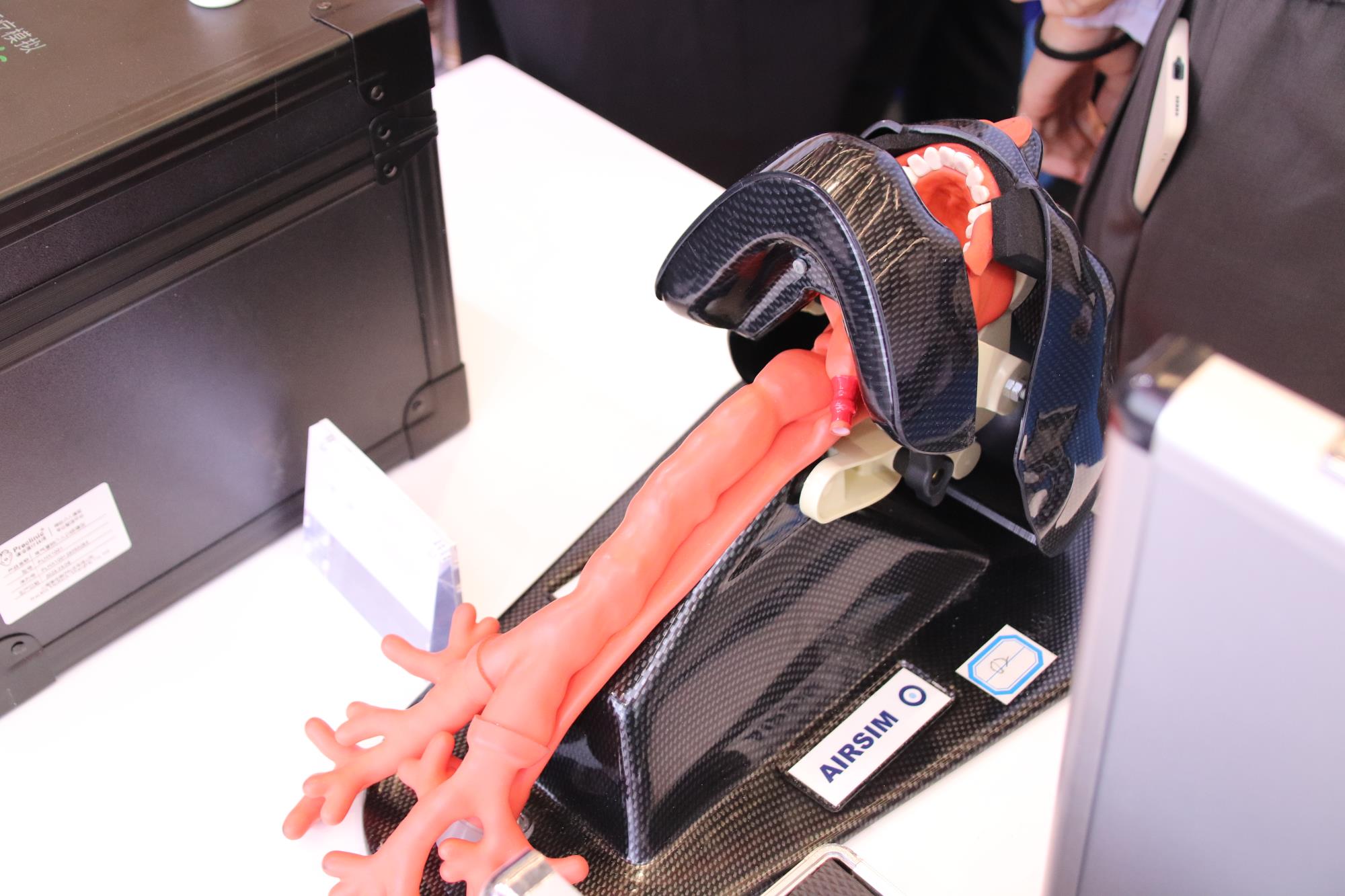 鼴鼠醫療視角下：頸椎固定患者可視喉鏡與纖支鏡氣管插管的比較