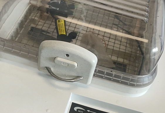 可視喉鏡廠家：氣管插管用可視喉鏡該如何清洗消毒？